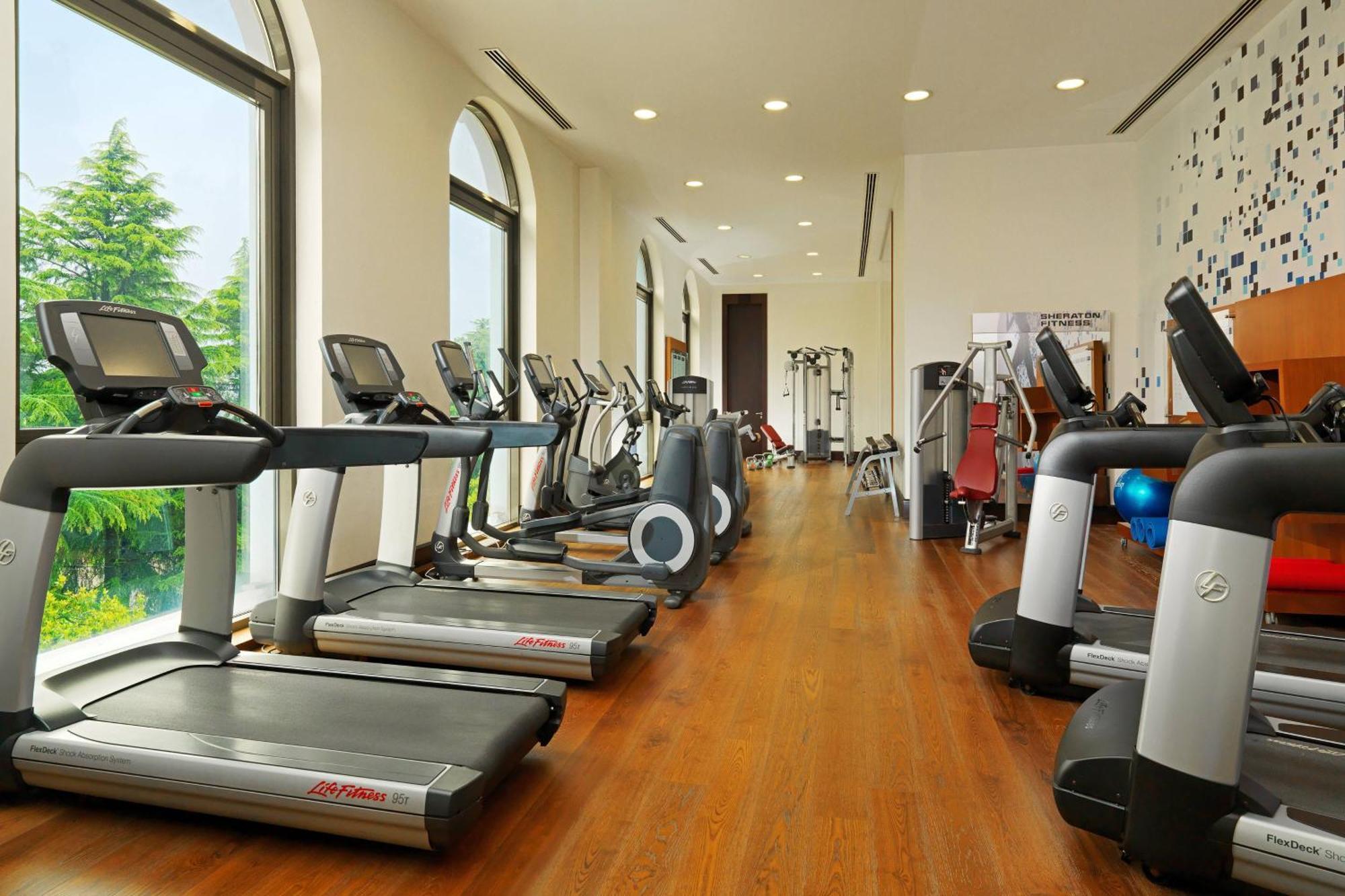 Sheraton Batumi Hotel Екстериор снимка The gym at the Taj Bengal